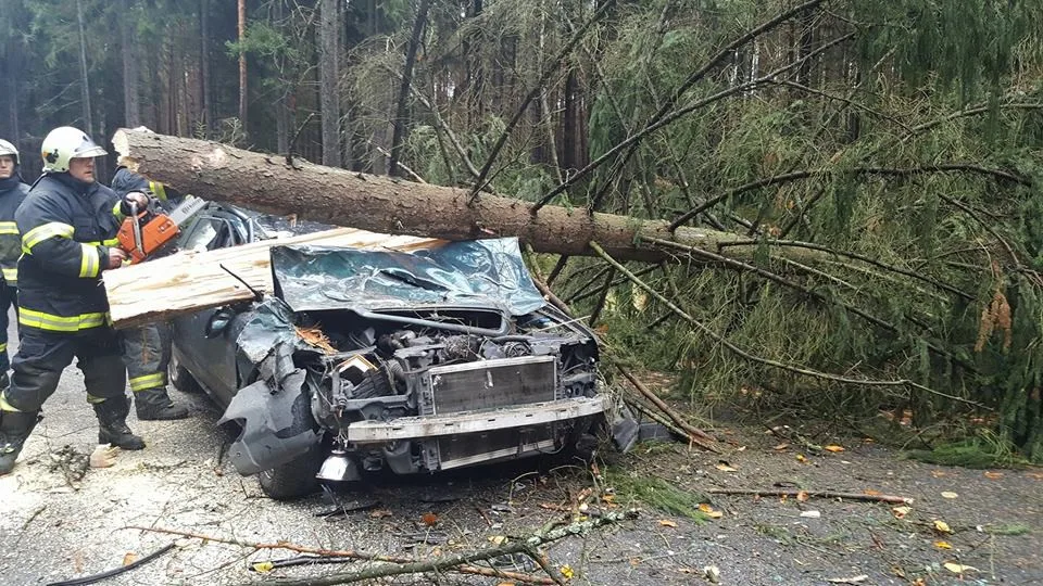 Strom spadl na auto v Kuřivodech.