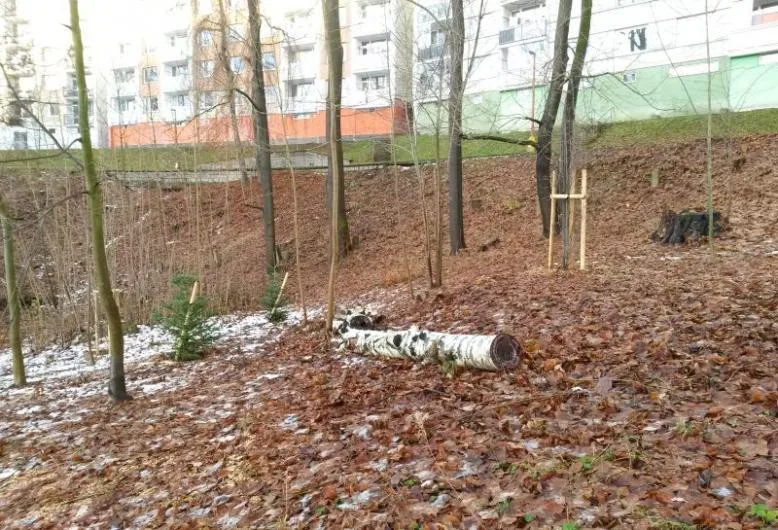 Lokalita Vysoká.