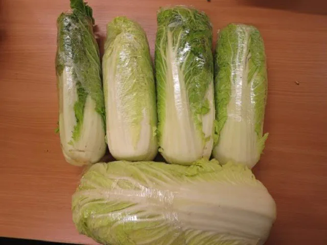 ilustrační foto.