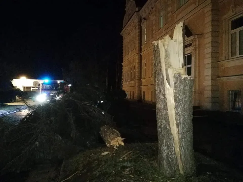 Zlomený strom v areálu frýdlantské nemocnice.