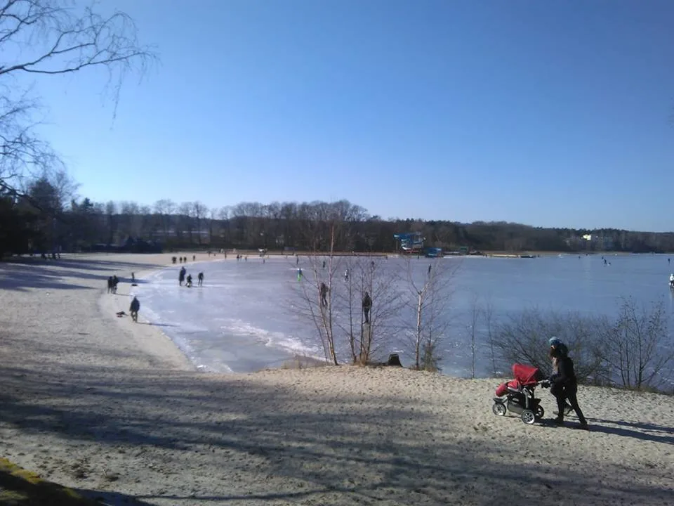 Máchovo jezero zamrzlo, v přístavišti rozbíjejí led kolem lodí.