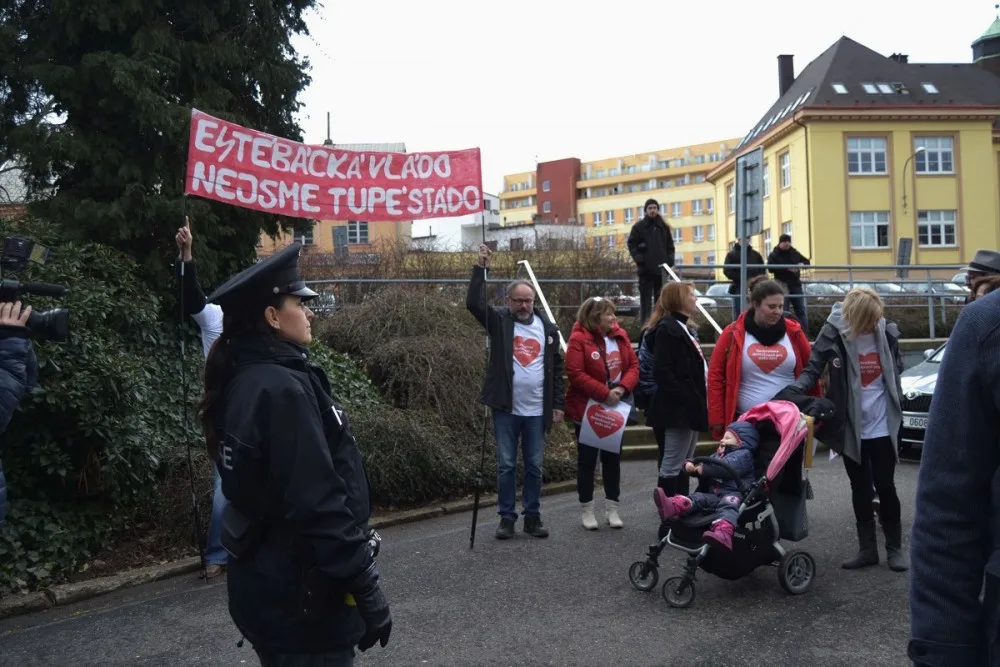 demonstranti v Liberci.