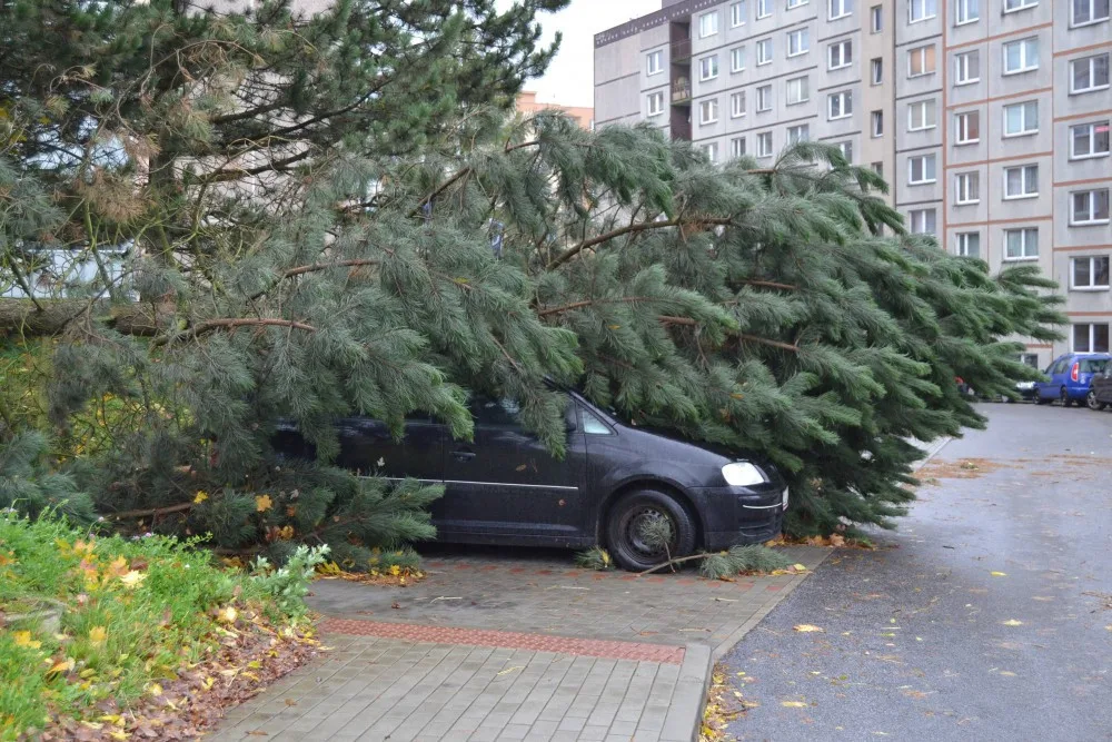 Ilustrační foto.