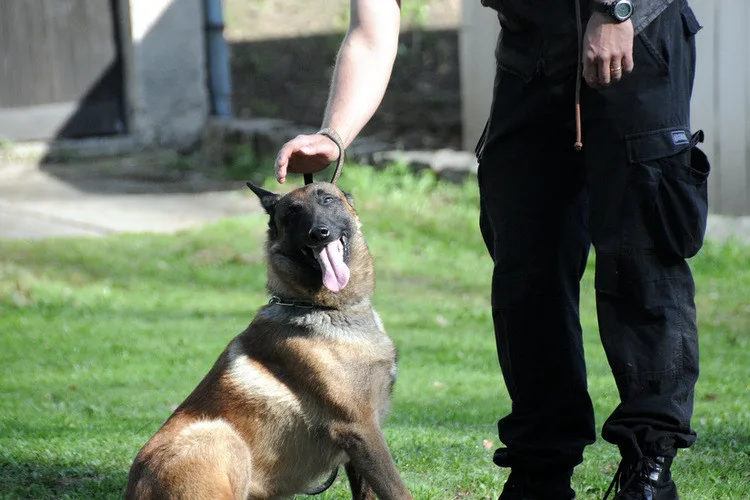 Velká cena Městské policie 2018.