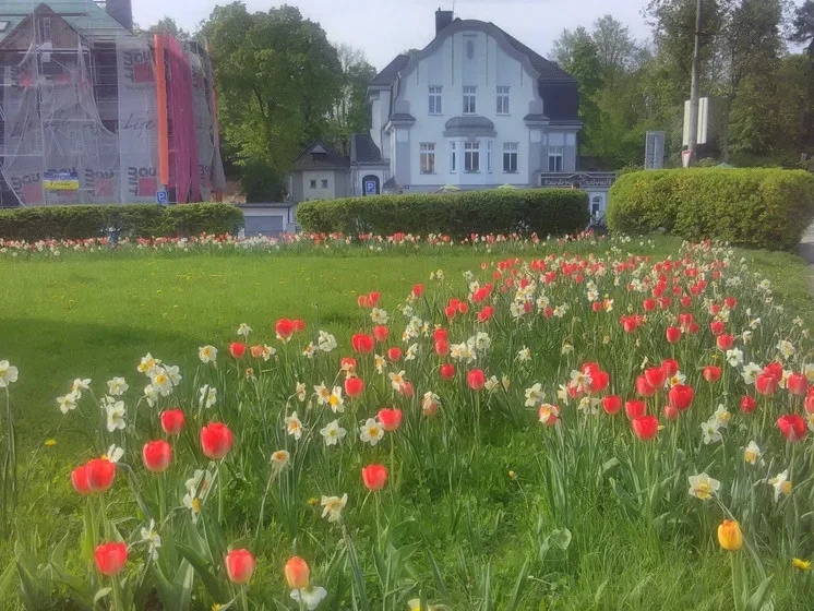 Květiny
