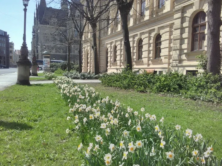 Květiny