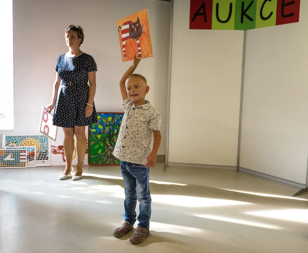 Aukce 2018