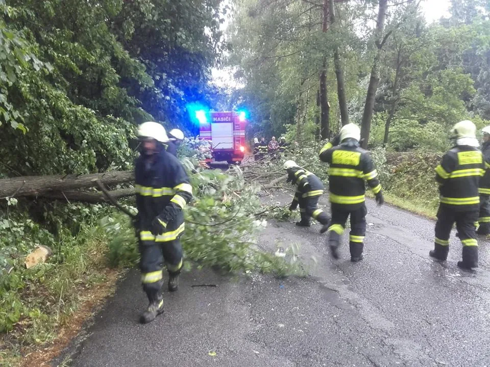 Silný vítr lámal stromy.
