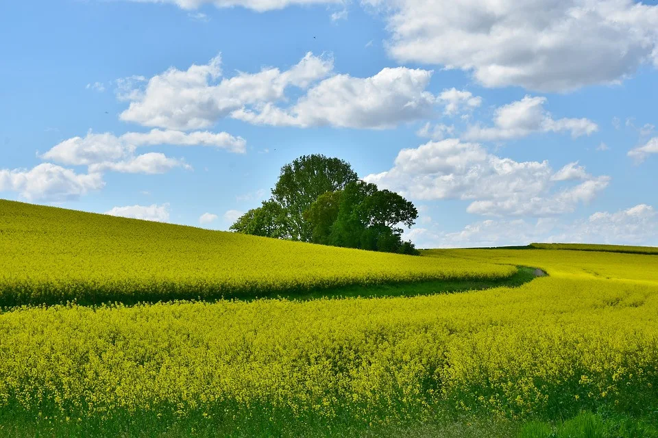 Ilustrační foto