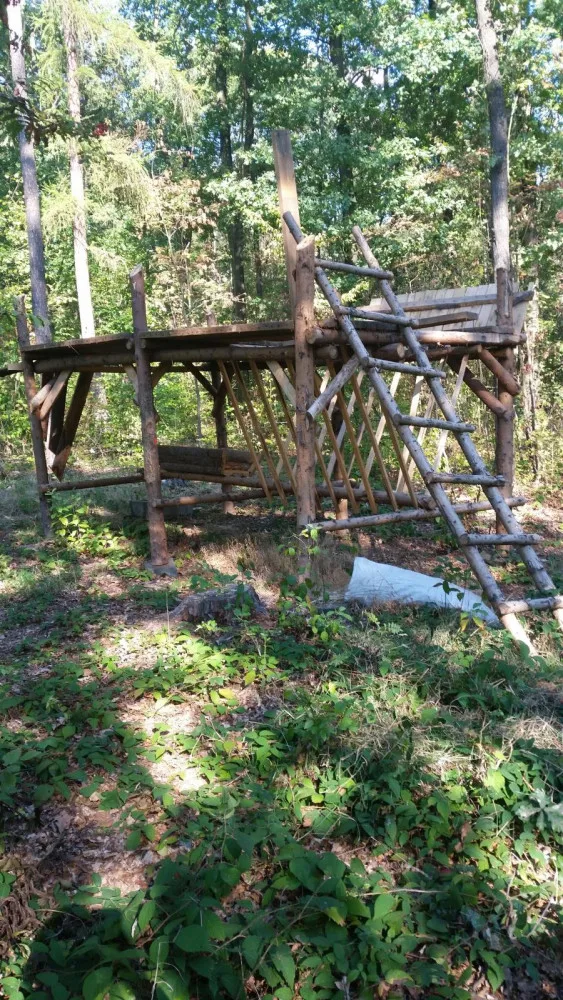 Kuriózní krádež na Novoborsku