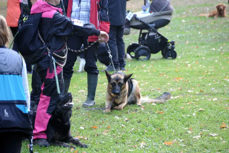 1-dsc_9728