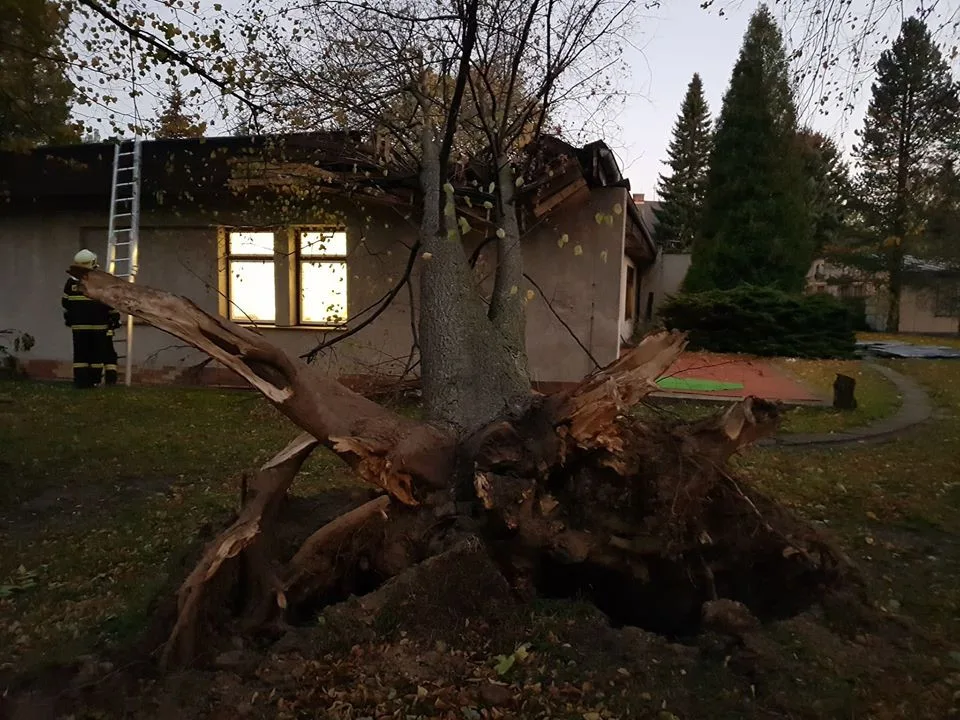 Strom spadl na školku v Hejnicích.