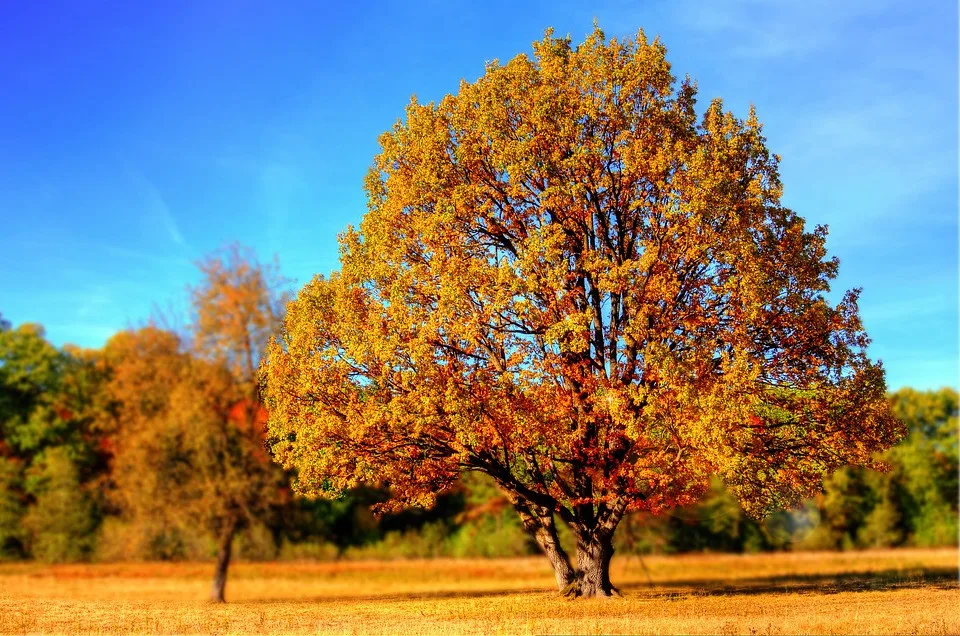 Ilustrační foto.