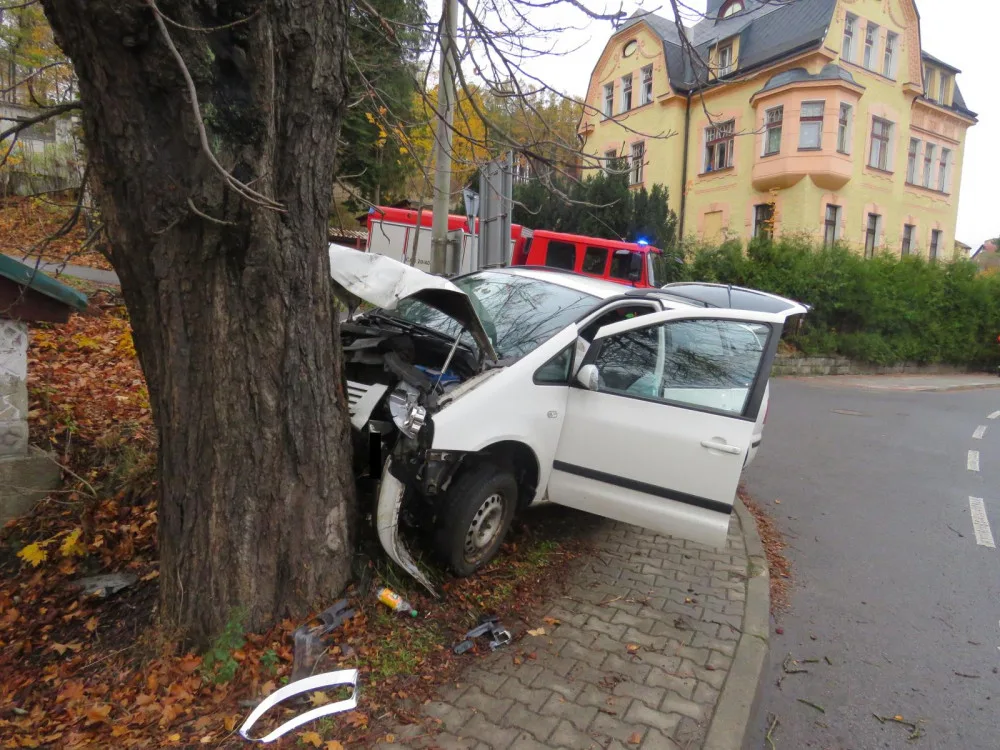 Osobák skončil kvůli nepozornosti ve stromě