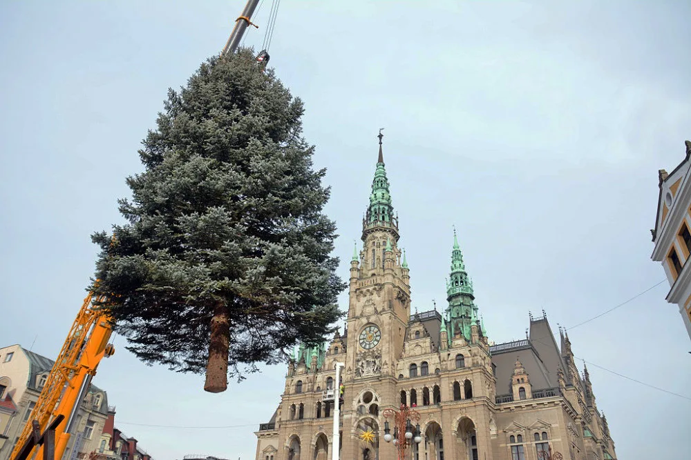 Liberecký strom.