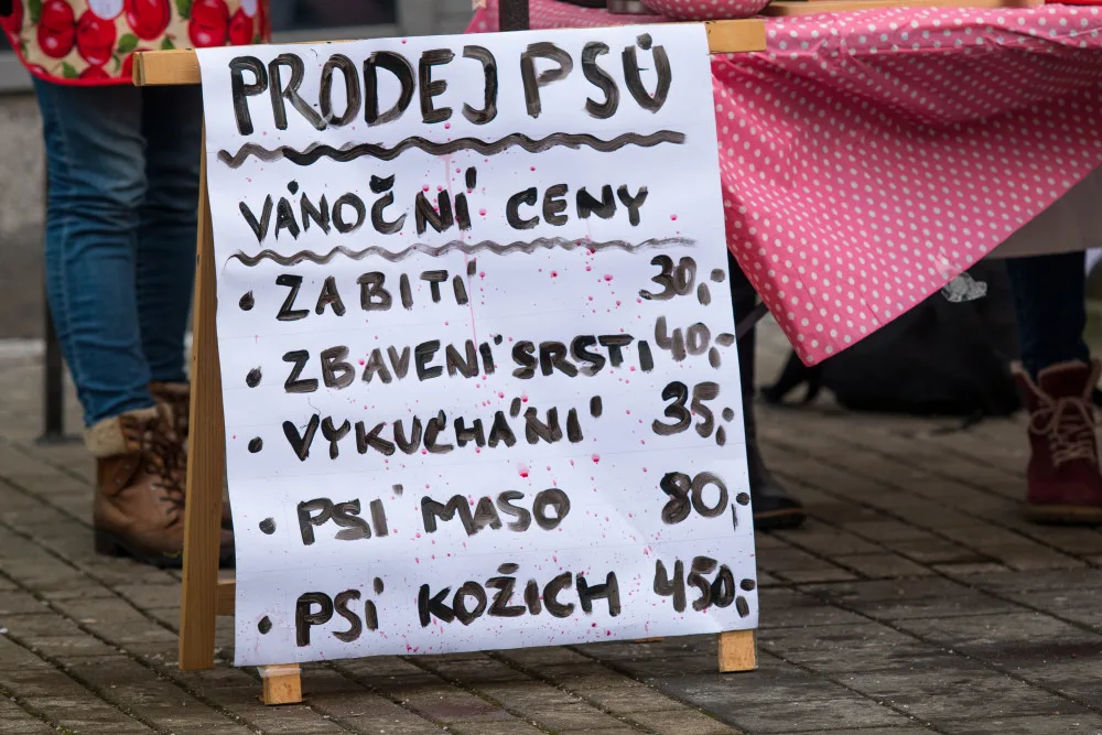 Prodej vánočních psů v centru Liberce poukazuje na masakr v podobě prodeje kaprů