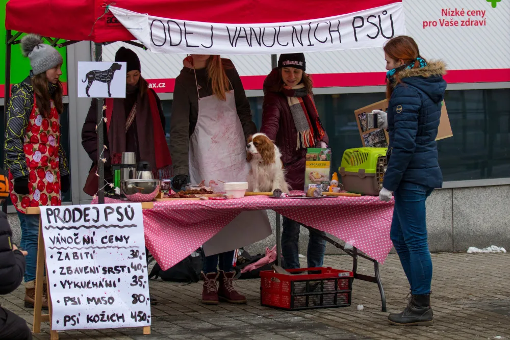 Prodej vánočních psů v centru Liberce poukazuje na masakr v podobě prodeje kaprů