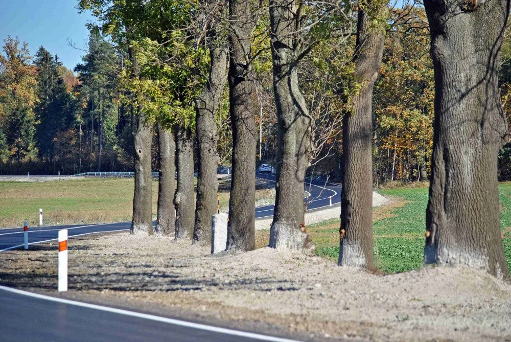 Ilustrační foto