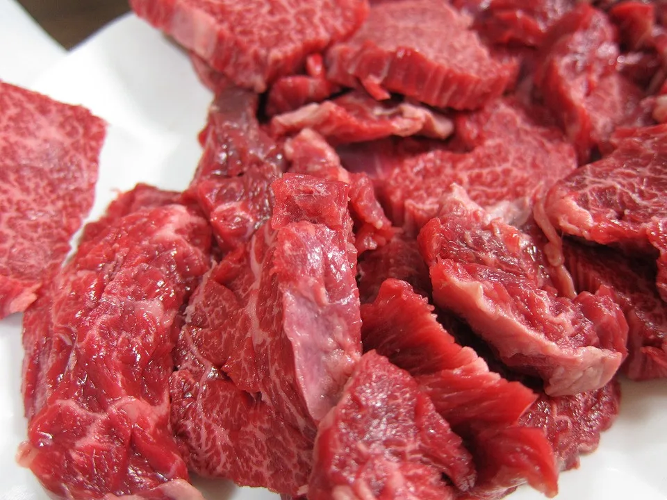 beef-263252_960_720