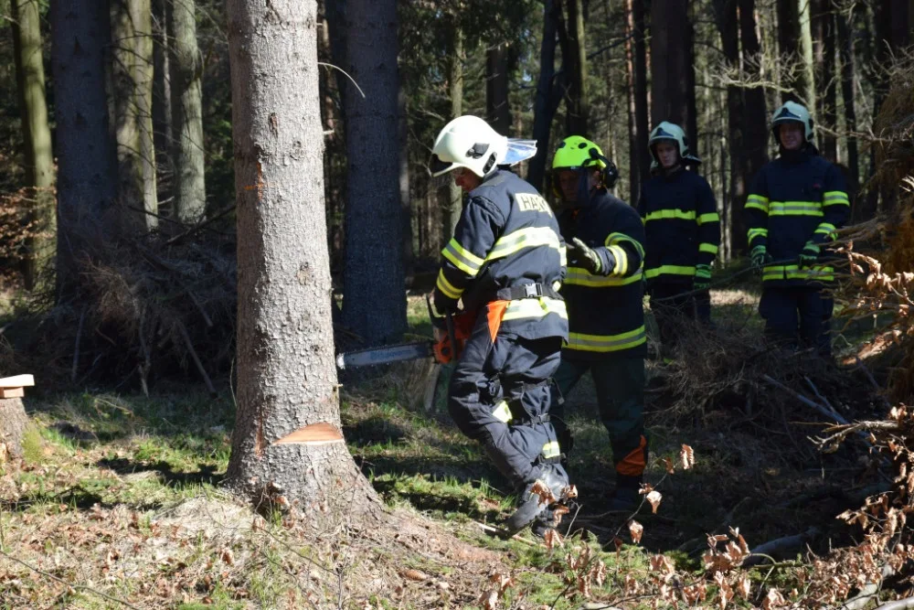 Hasiči si v rámci přeshraničního workshopu vyzkoušeli práci s motorovkou.
