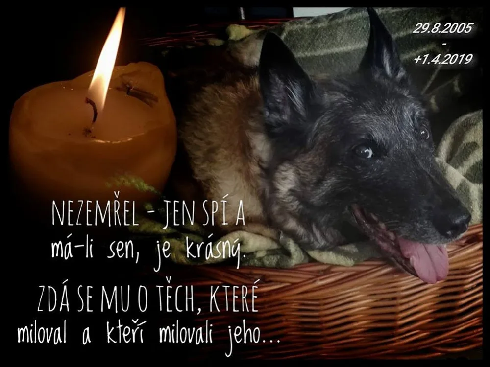 Cash odešel ve věku požehnaných 14 let.