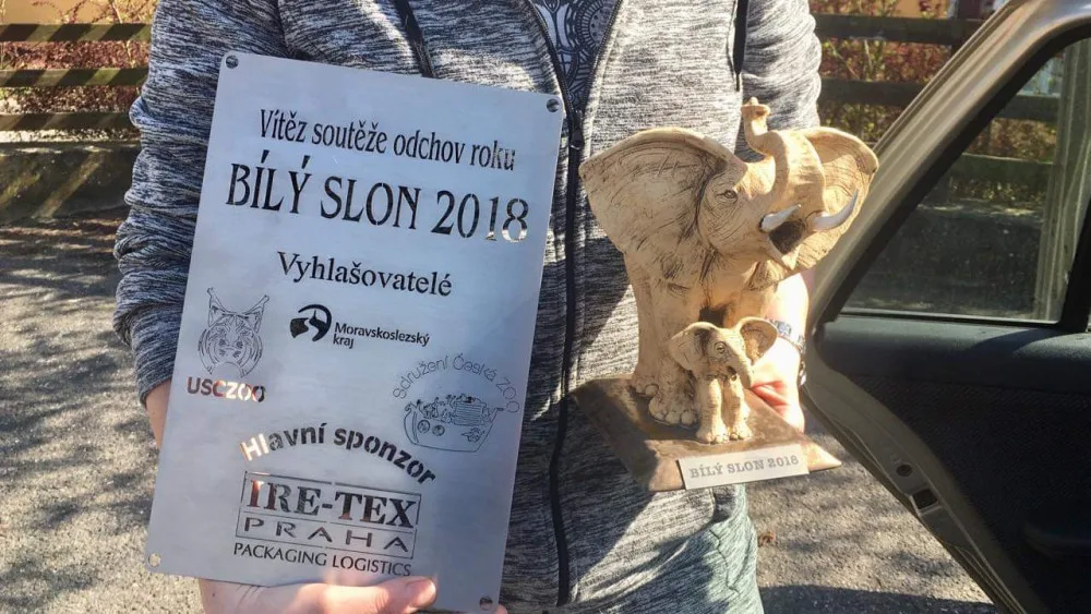 Cena Bílý slon.