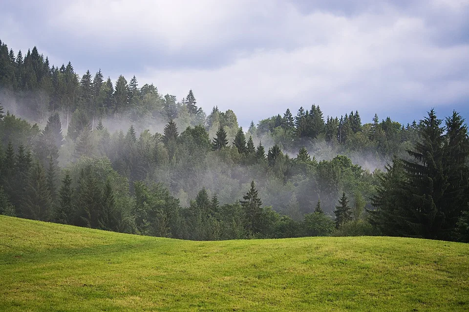 Ilustrační foto.
