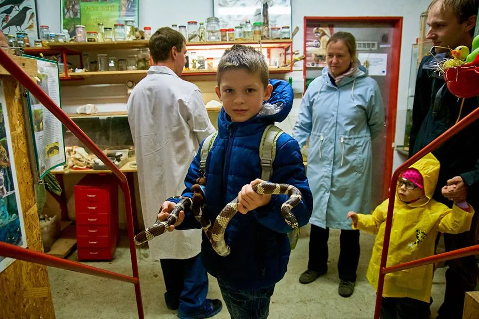 Ilustrační foto.