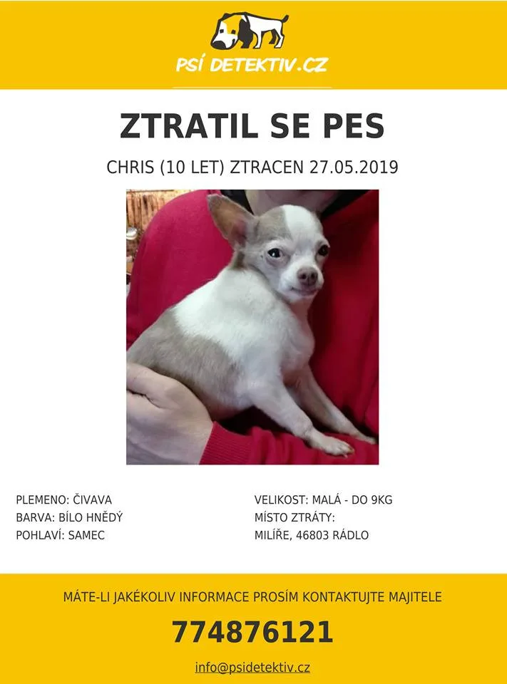 Na Rádle pátrají po tomhle pejskovi.
