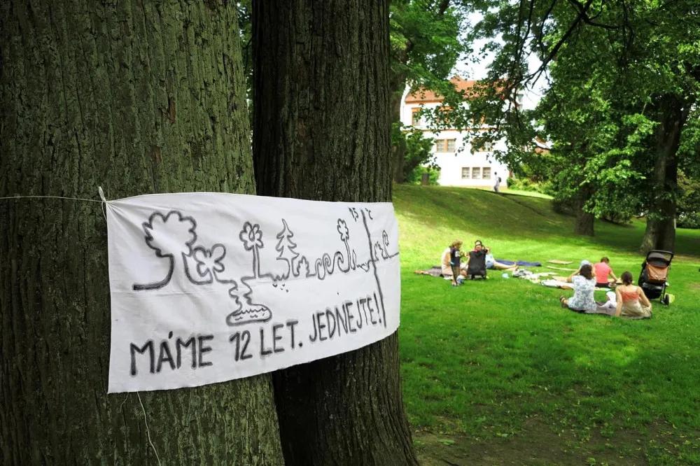 Takové stromy můžete nyní vidět v Liberci.