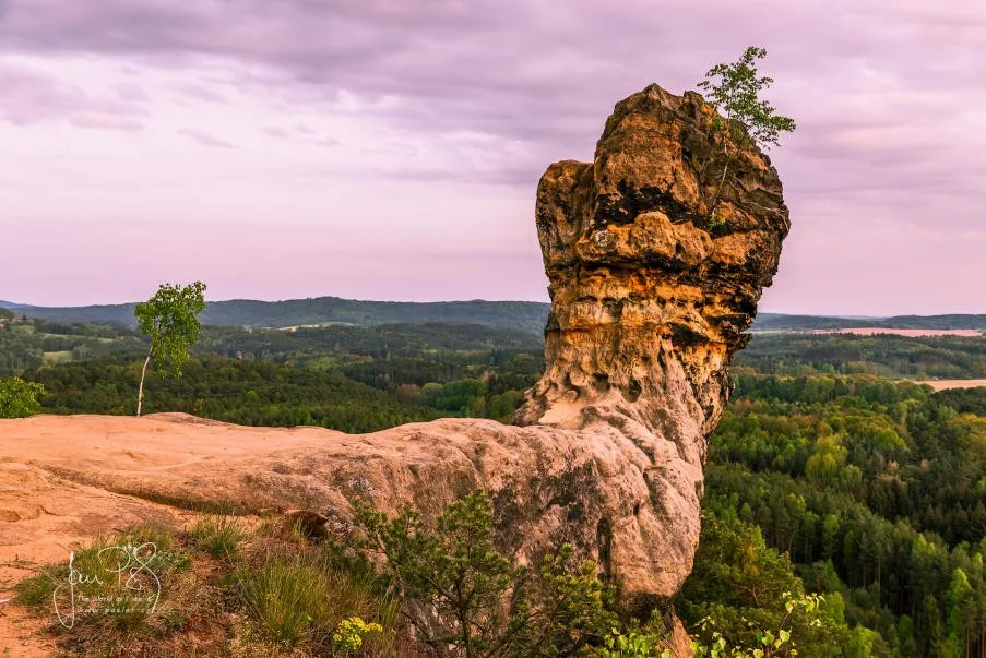 Čapská palice
