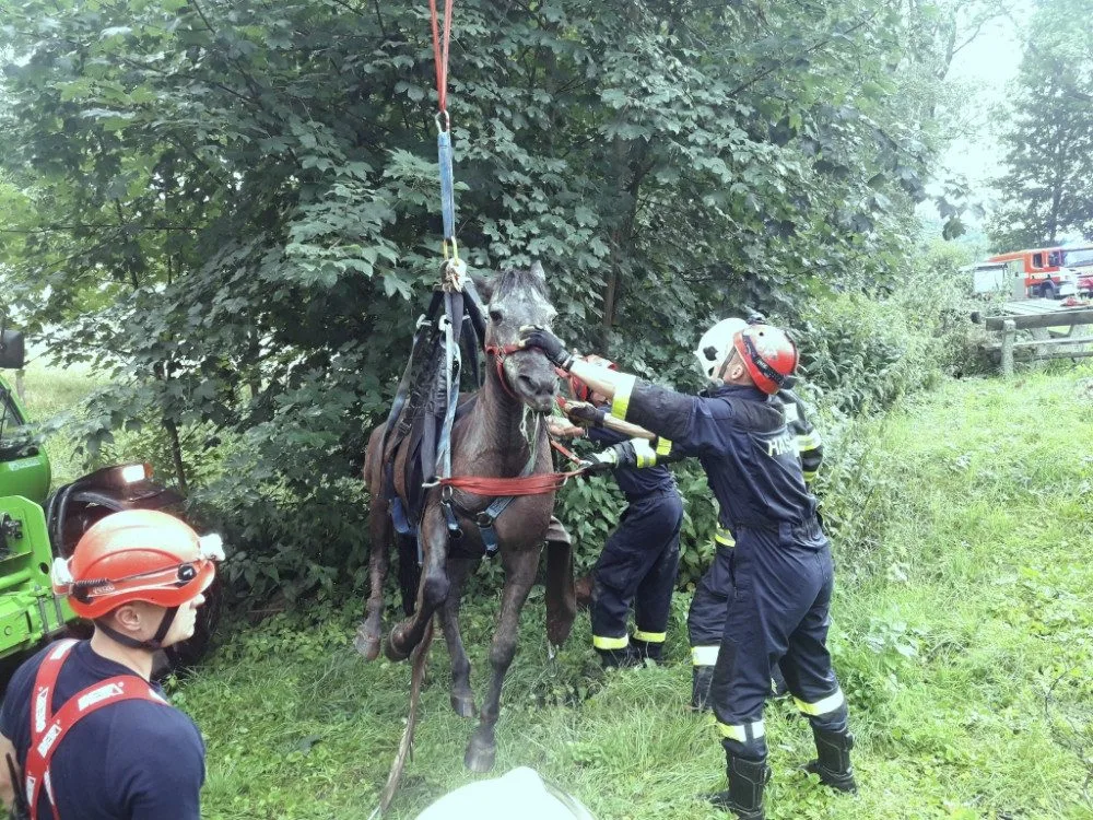 Hasiči zachraňovali kobylu pomocí speciální sítě.