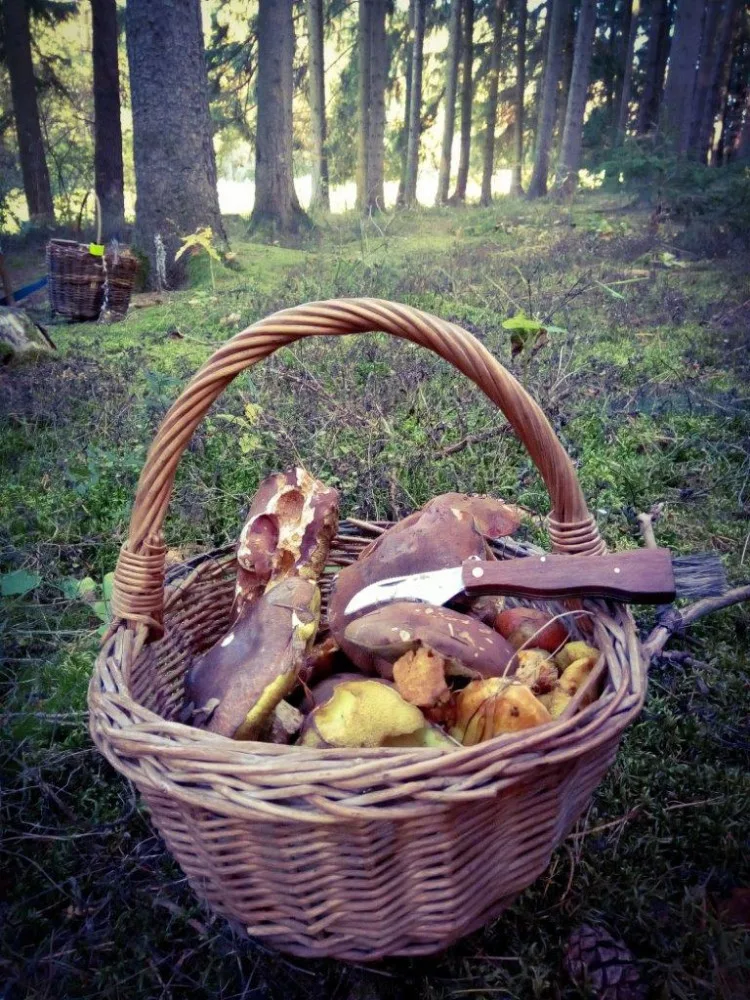 Ilustrační foto.