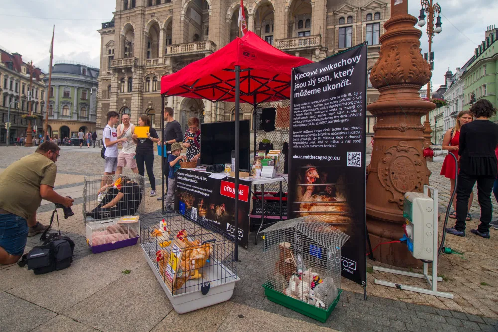 Dnešní akce na Benešáku zaměřená na boj proti klecovým chovům.