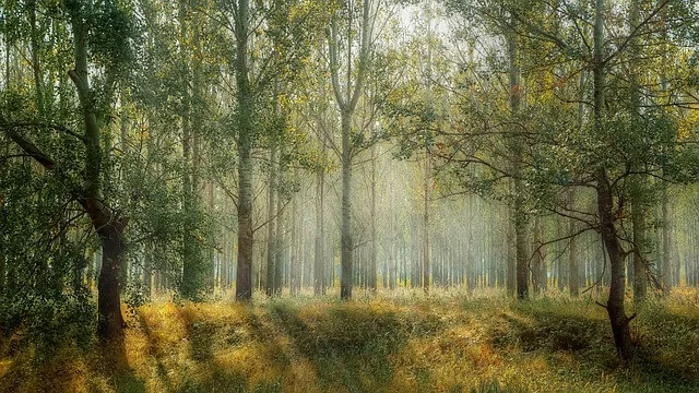 Ilustrační foto