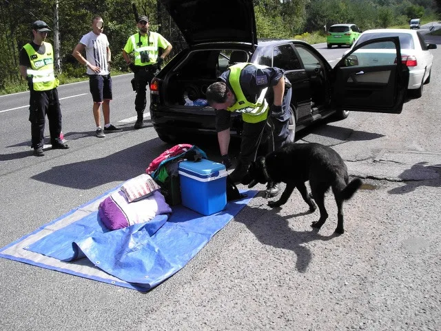 Policejní kontroly.
