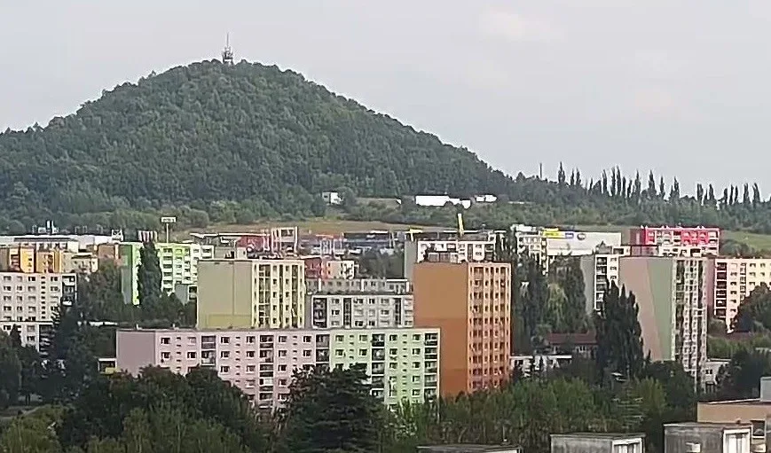 Na Špičáku se rojí mravenci.