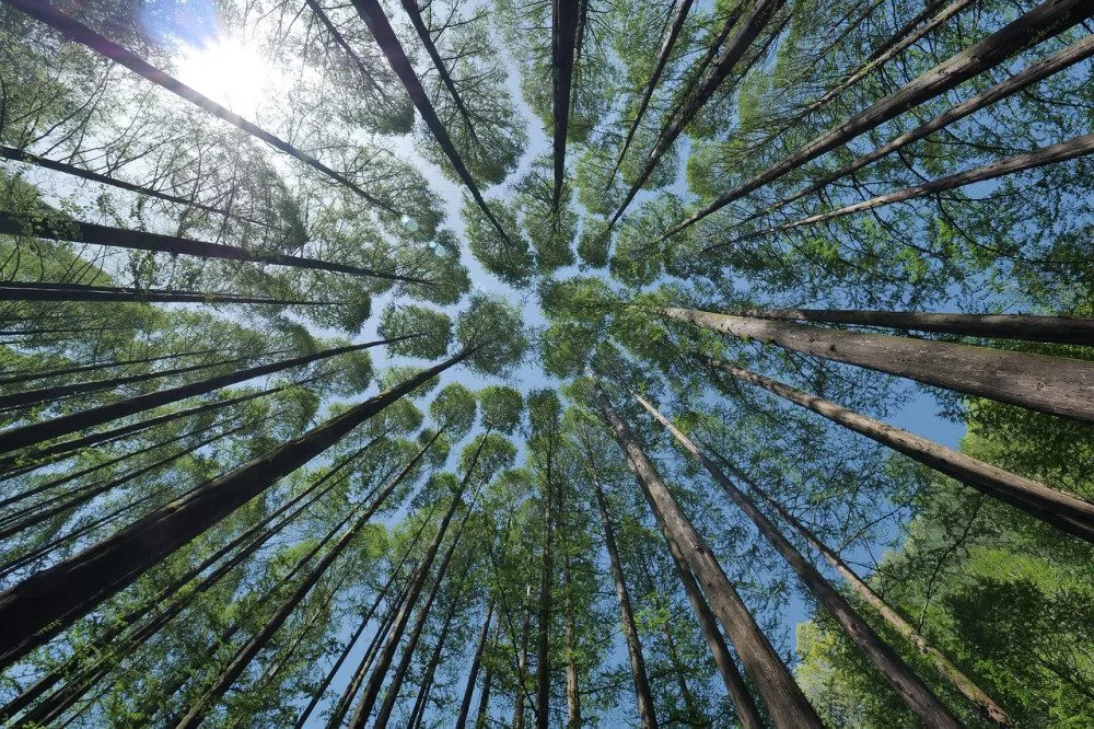 Ilustrační foto