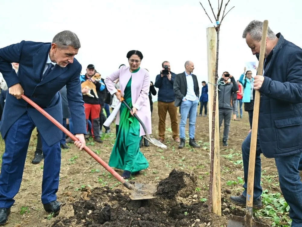 Andrej Babiš sází stromy ve Vyskeři