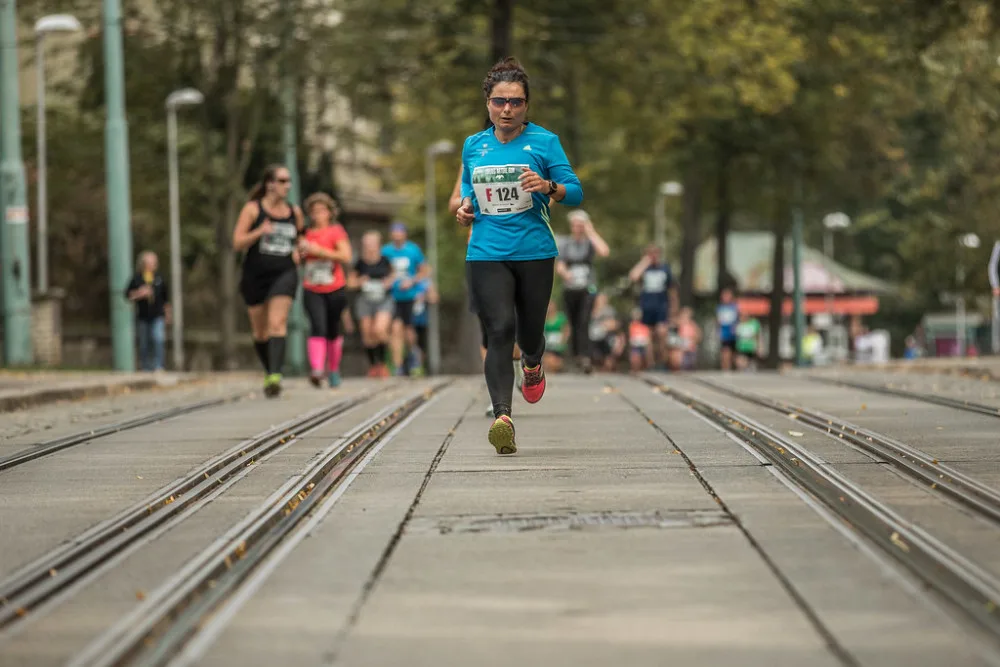Nature Run