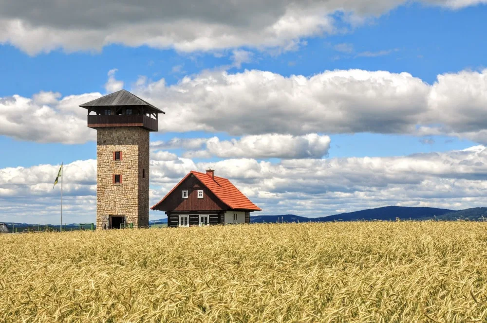 Rozhledna U Borovice.