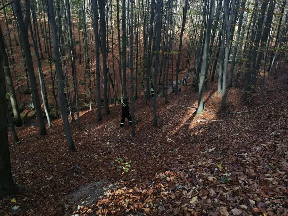 Ztraceného muže hledaly desítky lidí.