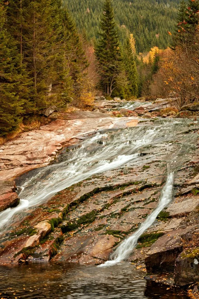 www.fotosalek.com