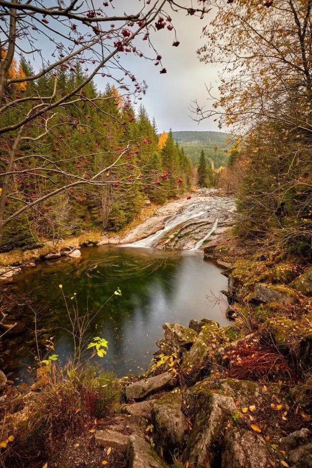 www.fotosalek.com