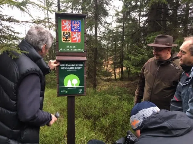 Nové bezzásahové území - Rašeliniště Jizery