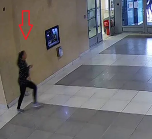 Tuto ženu hledá policie
