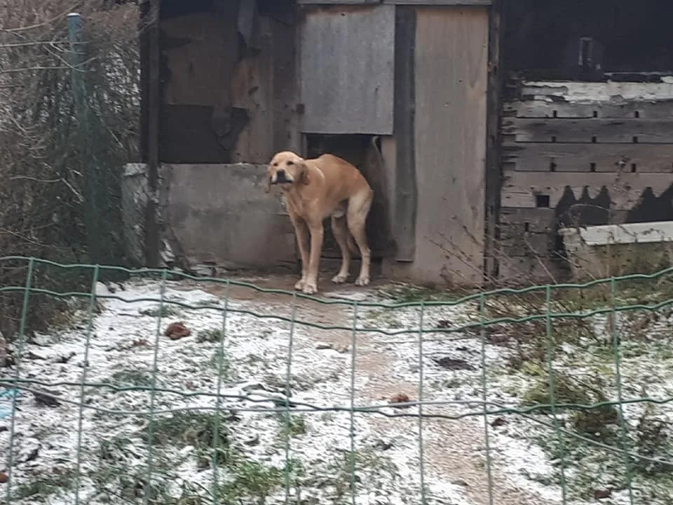 Zubožený Árny žil v hrozných podmínkách.