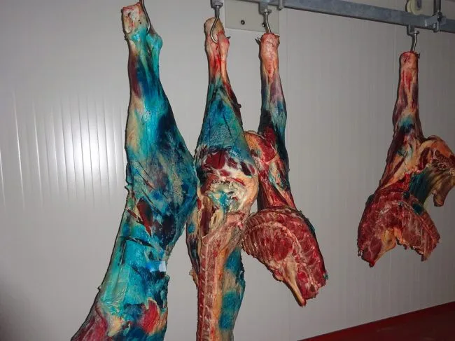 Veterináři na Jablonecku odhalili nelegální jatka. Našli na nich 300 kilo masa