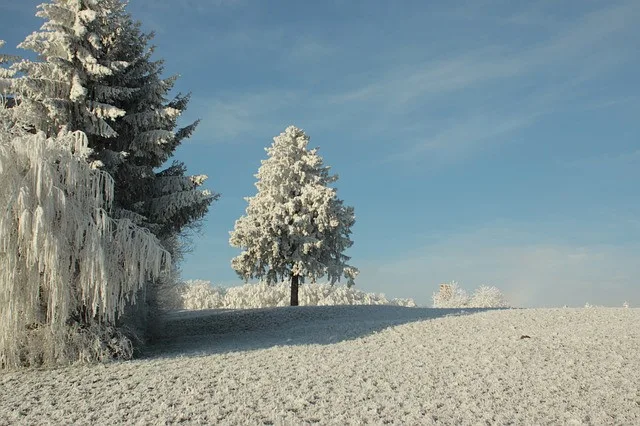 Ilustrační foto