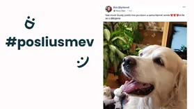 Pošlete úsměv prodavačkám v první linii. OC Nisa promítá vzkazy personálu i zákazníkům